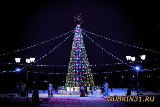 Новогодняя ёлка в Губкине - 2015