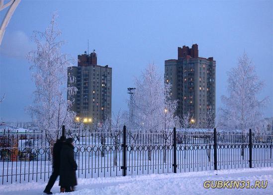 Зима, январь в Губкине