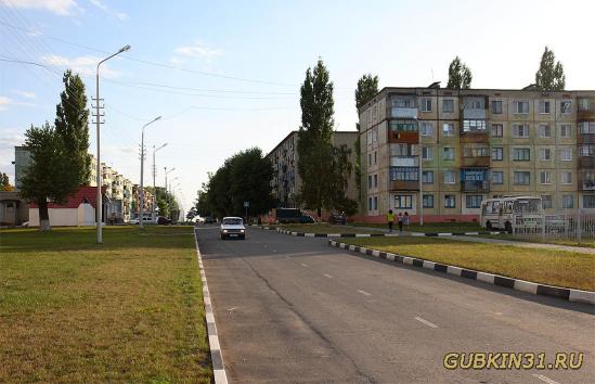 Посёлок Троицкий в Губкинском районе