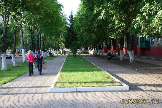 Сквер на ул. Центральной в посёлке Троицкий