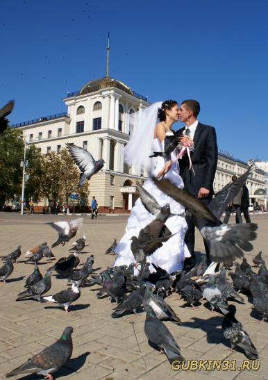 Свадебная прогулка с голубями в Белгороде