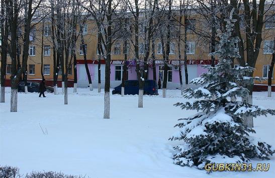 Зимний сквер на ул. Советской