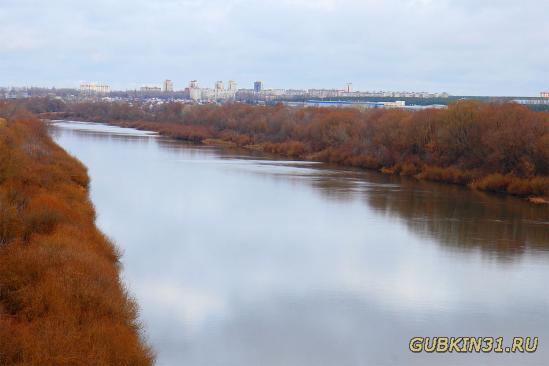 Река Дон в Воронеже