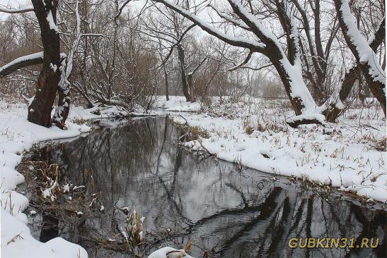 Река Осколец зимой в Губкине
