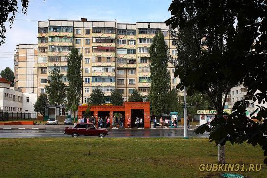 Улица Королёва в Губкине