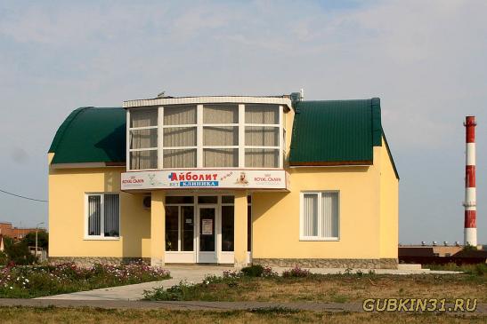 Ветеринарная клиника Айболит в Губкине Белгородской области