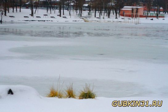 Городской пруд в Губкине зимой