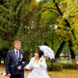 Свадьба Алексея и Натальи в Губкине
