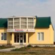 Ветеринарная клиника Айболит в Губкине Белгородской области