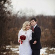 Свадебная фотосессия зимой в Губкине