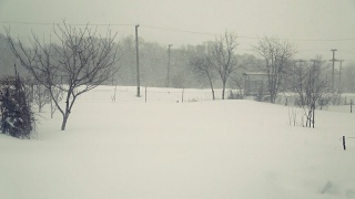 Снегопад в марте месяце в Губкине